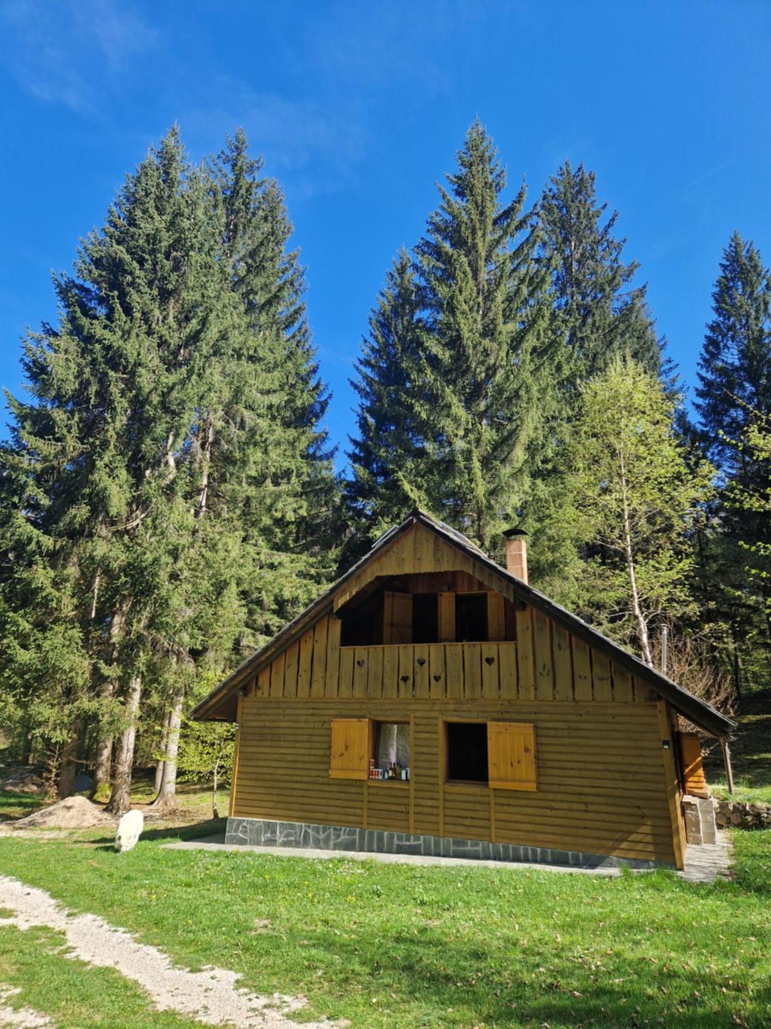 Koca V Gozdu, Forest House Near Bled Exterior foto