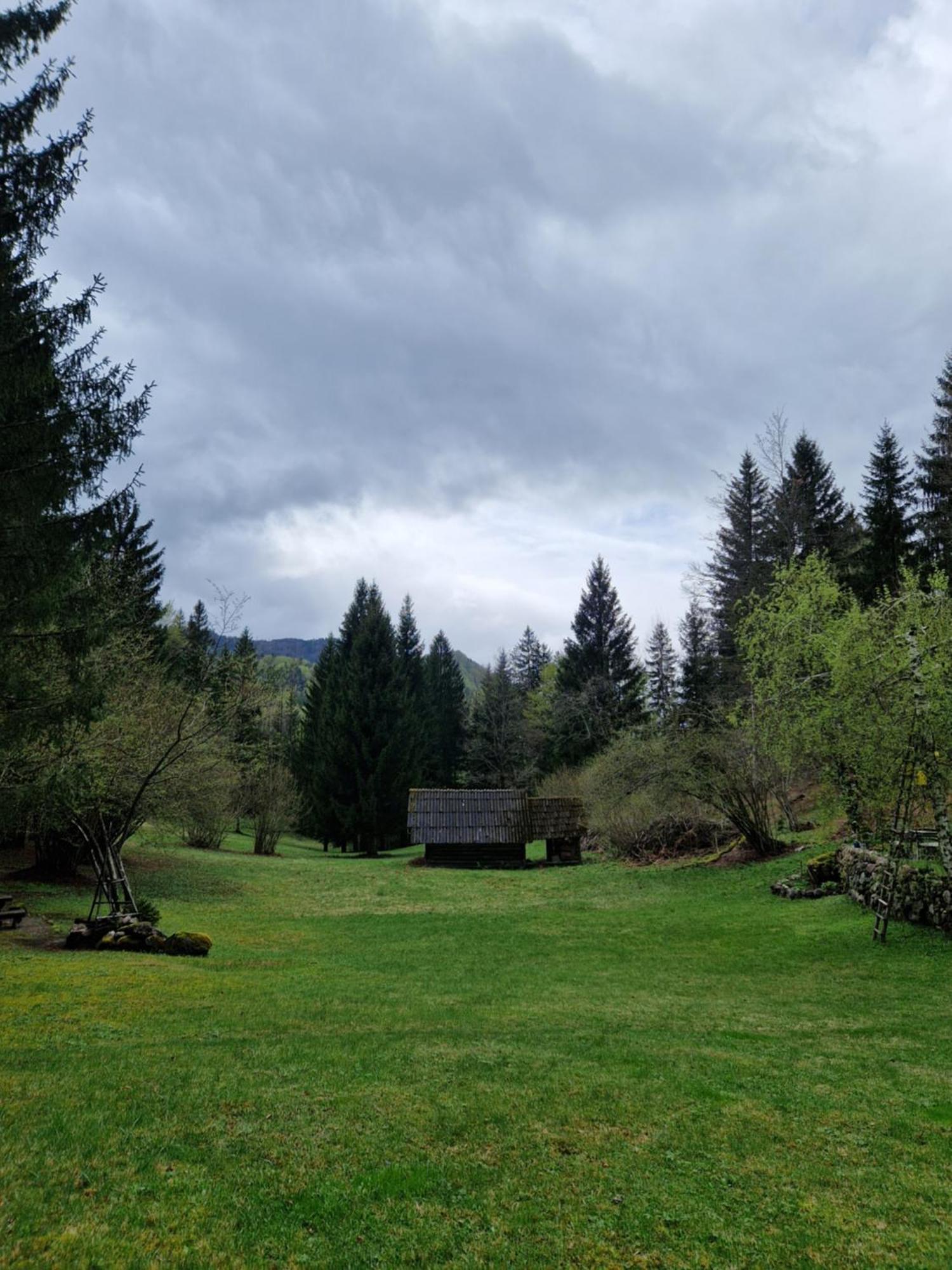 Koca V Gozdu, Forest House Near Bled Habitación foto